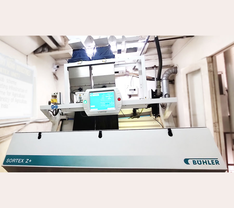 New Gallery King Beans