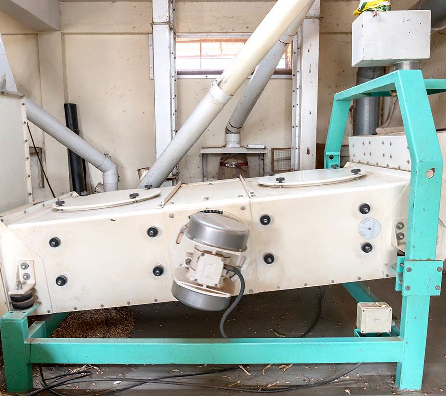 New Gallery King Beans