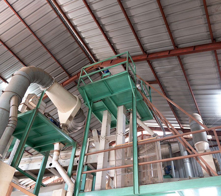 New Gallery King Beans