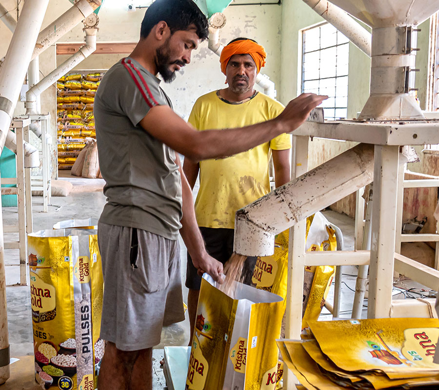 New Gallery King Beans