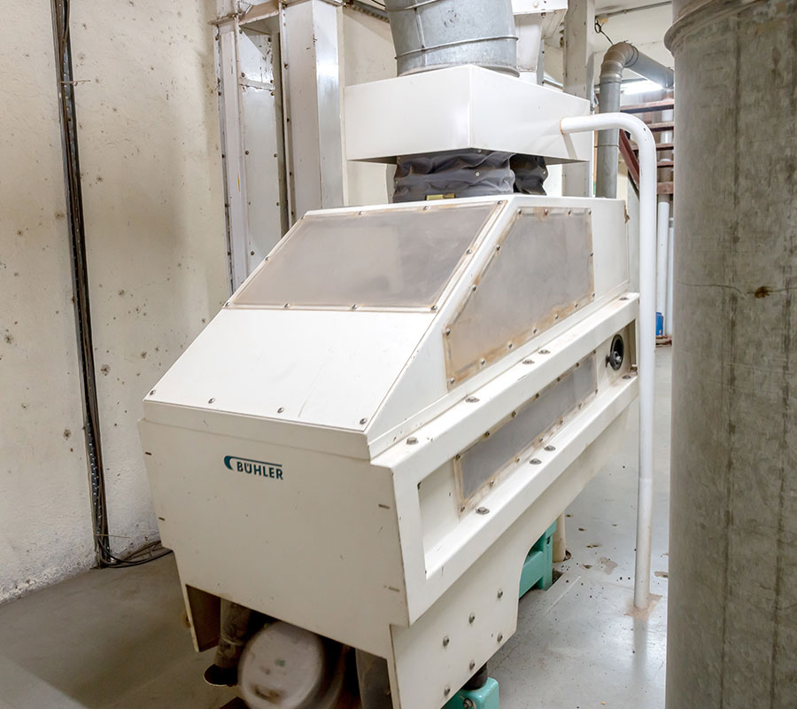 New Gallery King Beans